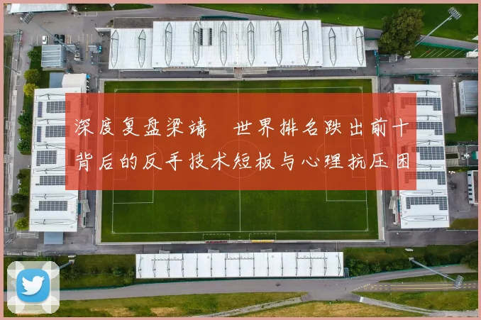 深度复盘梁靖崑世界排名跌出前十背后的反手技术短板与心理抗压困境